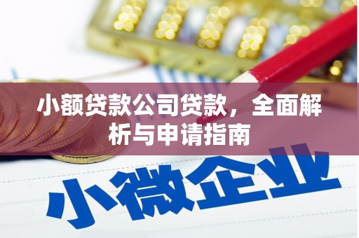 东坑小额贷款公司贷款，全面解析与申请指南