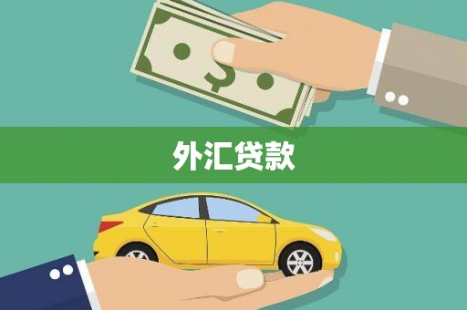 东坑外汇贷款