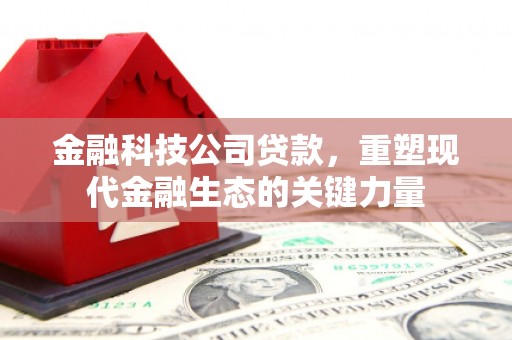 东坑金融科技公司贷款，重塑现代金融生态的关键力量