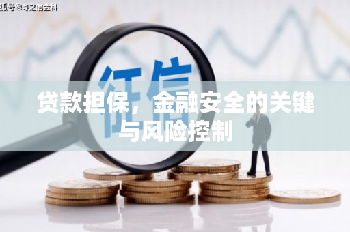 东坑贷款担保，金融安全的关键与风险控制