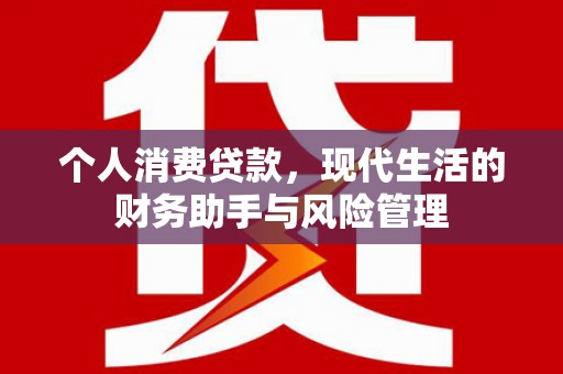 东坑个人消费贷款，现代生活的财务助手与风险管理