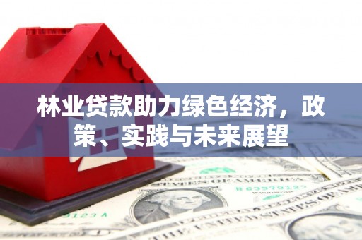 东坑林业贷款助力绿色经济，政策、实践与未来展望