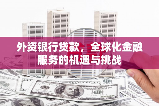 东坑外资银行贷款，全球化金融服务的机遇与挑战