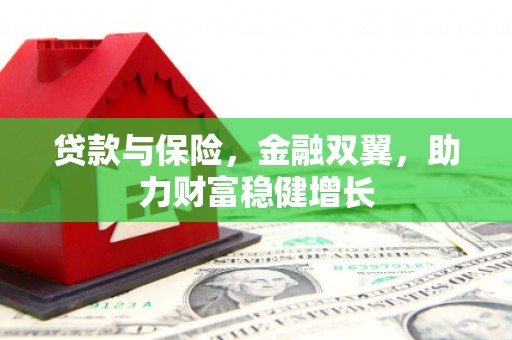 东坑贷款与保险，金融双翼，助力财富稳健增长