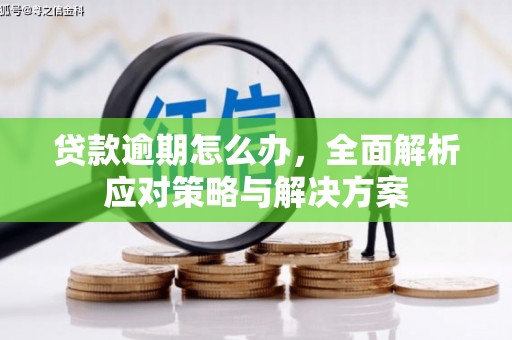 东坑贷款逾期怎么办，全面解析应对策略与解决方案