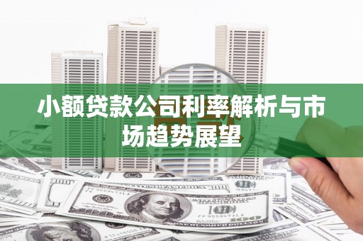 东坑小额贷款公司利率解析与市场趋势展望