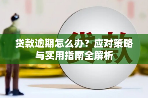 东坑贷款逾期怎么办？应对策略与实用指南全解析