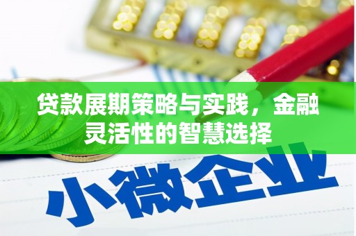 东坑贷款展期策略与实践，金融灵活性的智慧选择