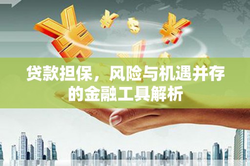 东坑贷款担保，风险与机遇并存的金融工具解析