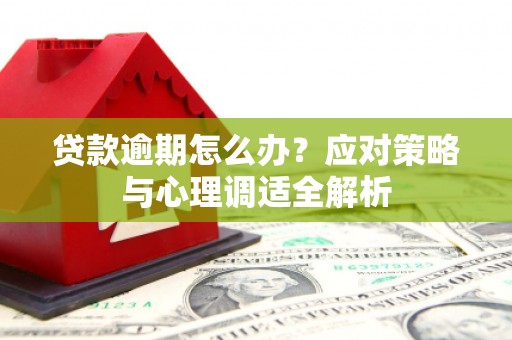 东坑贷款逾期怎么办？应对策略与心理调适全解析