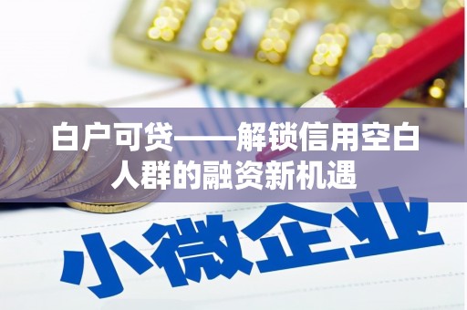 东坑白户可贷——解锁信用空白人群的融资新机遇