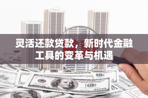 东坑灵活还款贷款，新时代金融工具的变革与机遇